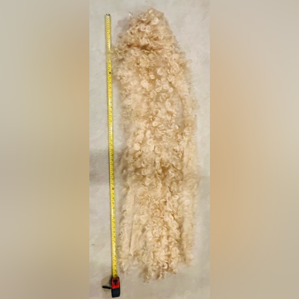 Long Curly blond wig